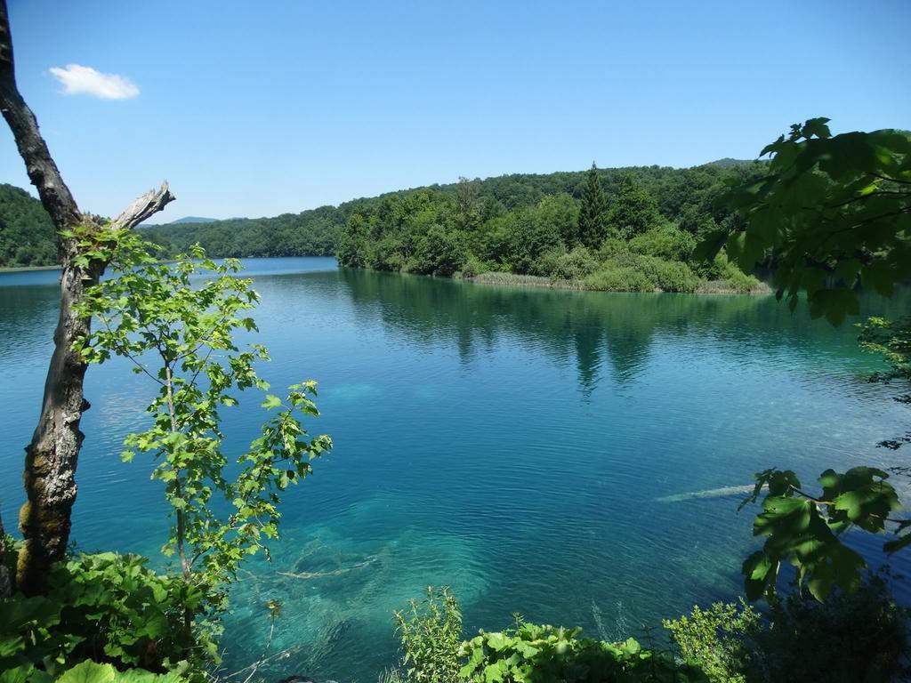 Apartment Plitvice Paradise Rudanovac Extérieur photo